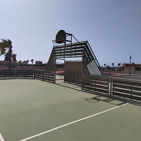 Adam Origo Mare 拉哈雷斯