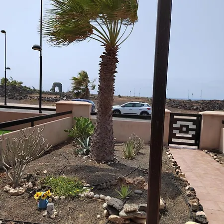 Adam Origo Mare 拉哈雷斯